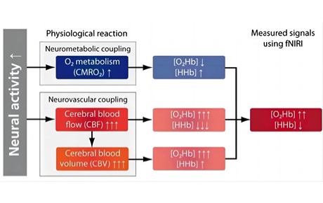 功能性近紅外光譜近十年來的臨床應(yīng)用（下）